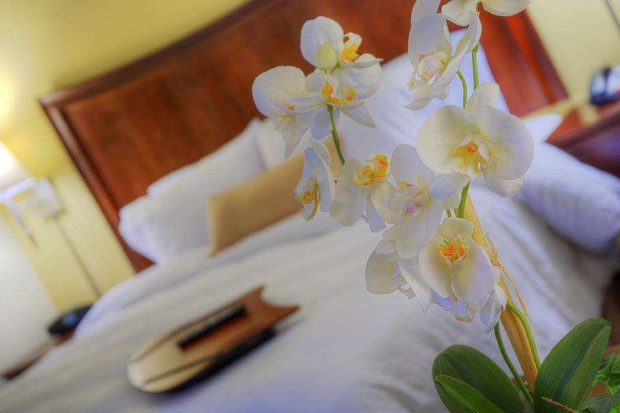 Hampton Inn Gainesville-Haymarket Chambre photo
